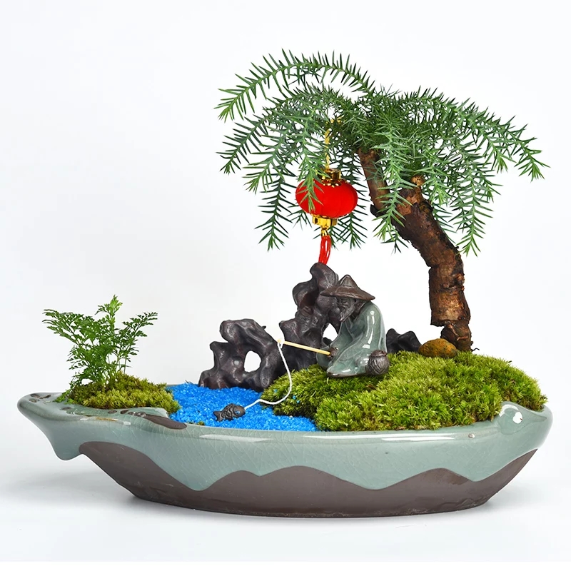 基地綠植類辦公場(chǎng)所室內(nèi)盆景類齊全均可選擇